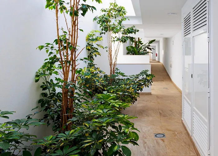 Sea View Ladera 公寓