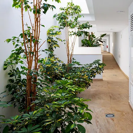 Sea View Ladera Apartamento